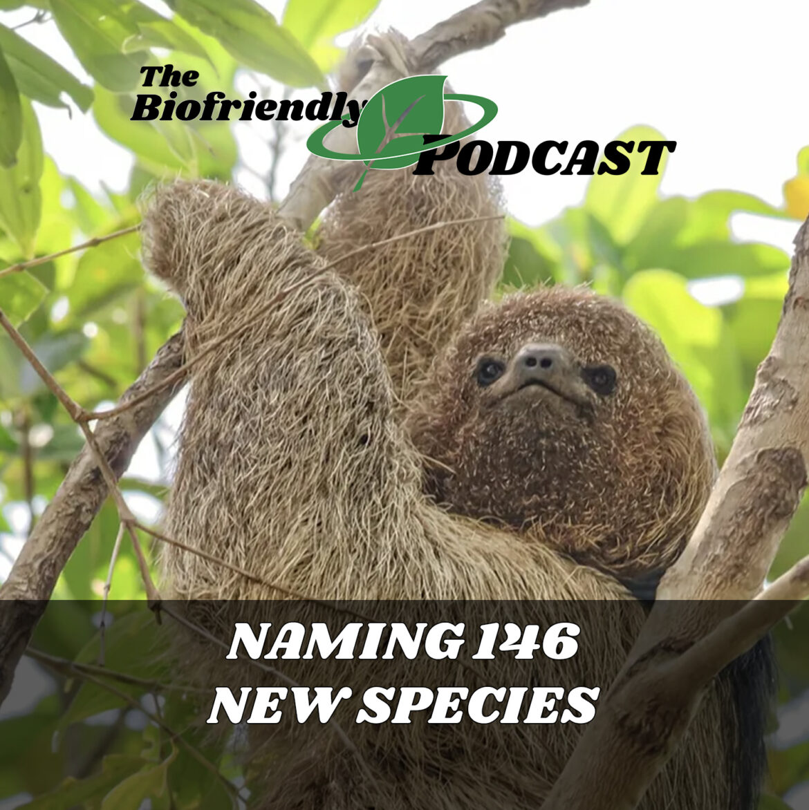 Naming 146 New Species