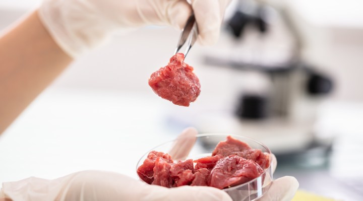 What You Need to Know About Lab-Grown Meat
