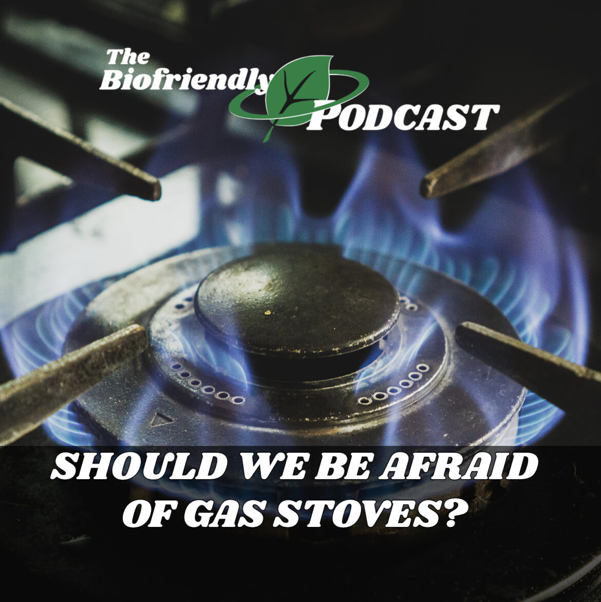 Should We Be Afraid of Gas Stoves?