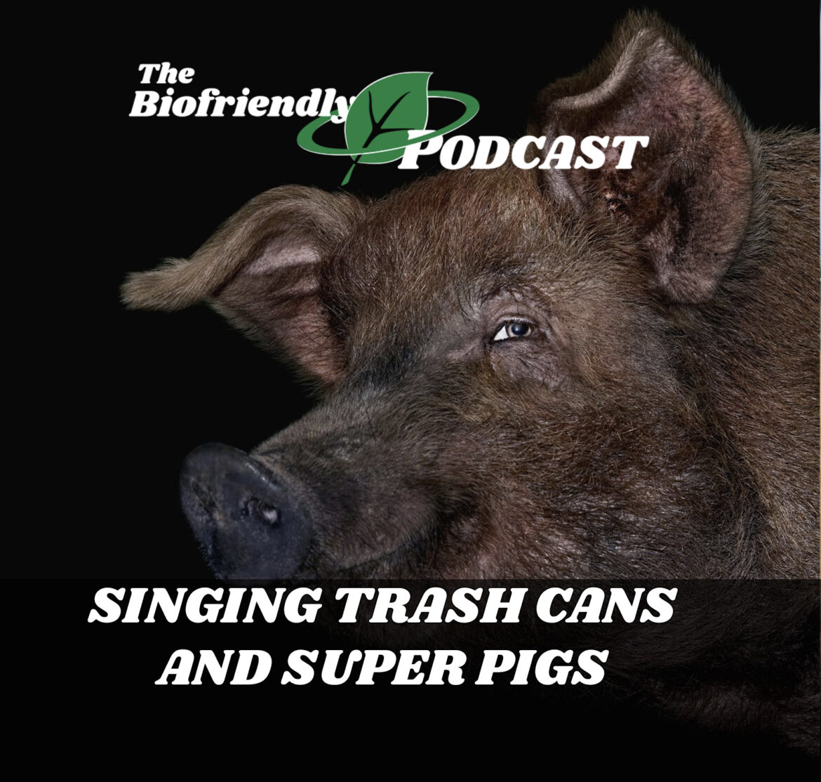 Singing Trash Cans and Super Pigs