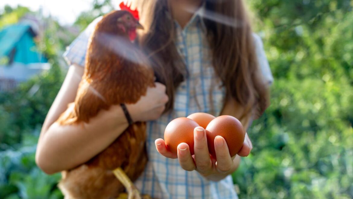 5 Environmental Benefits of Backyard Chickens