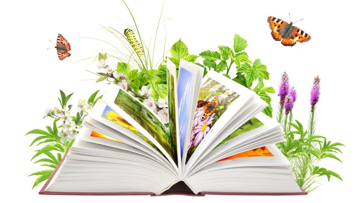 Books To Get You Garden-Ready