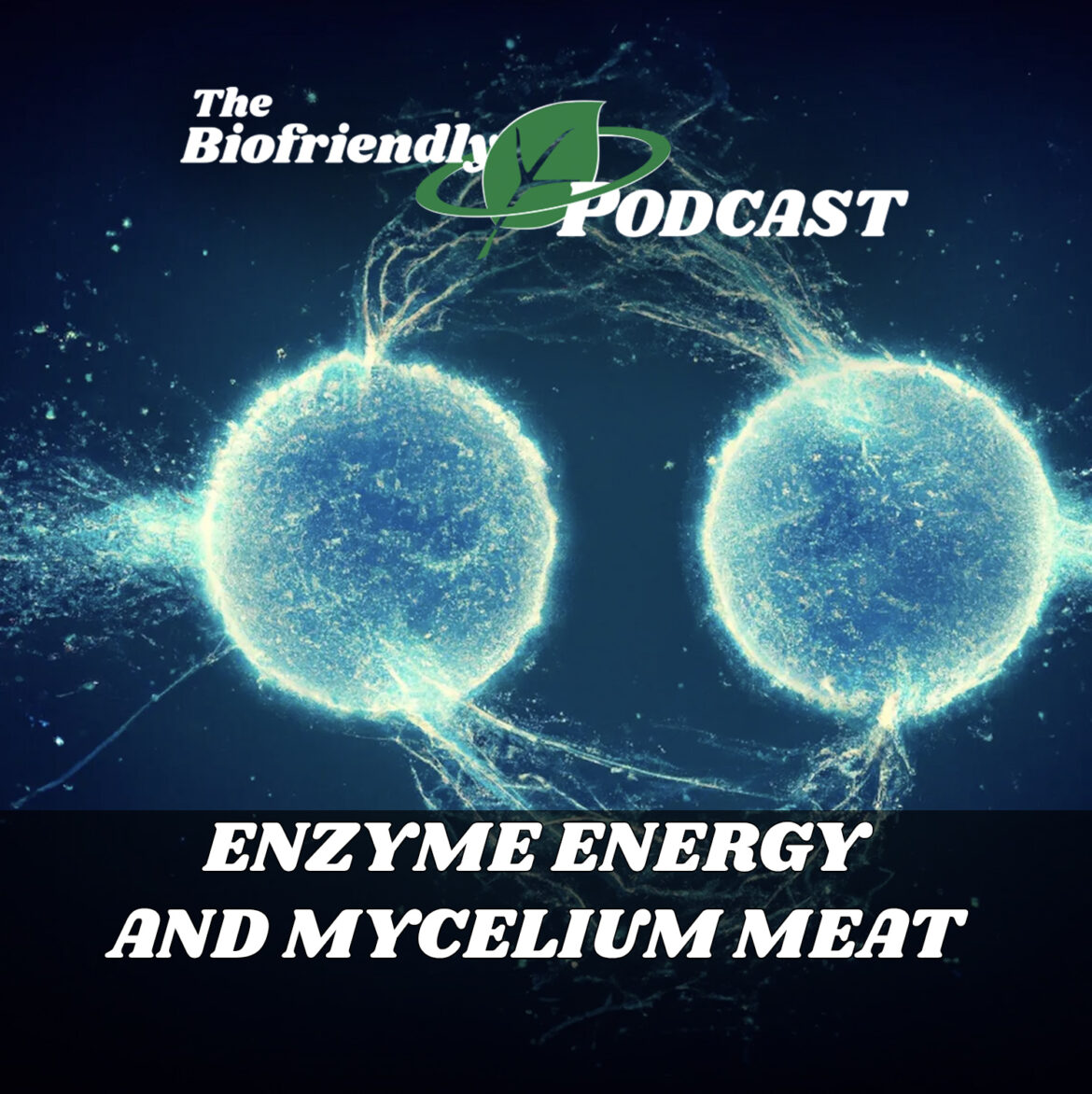 Enzyme Energy and Mycelium Meat