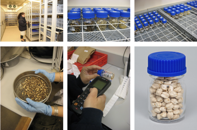 Seed banks in the Middle East