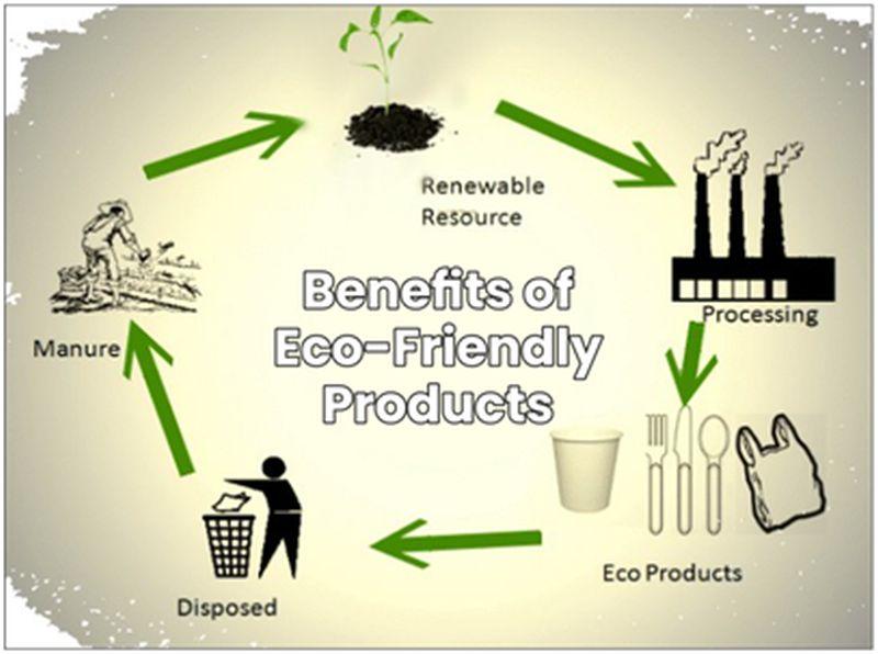 Sustainable Living in the UK: Switching to Eco-Friendly Products