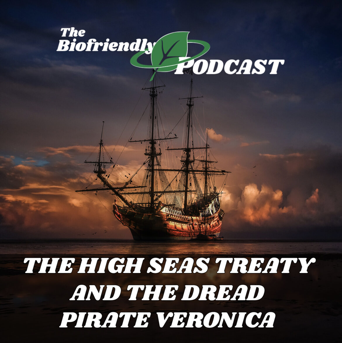 The High Seas Treaty and the Dread Pirate Veronica