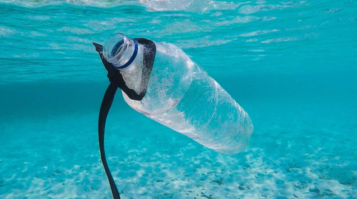 The Impact of Plastic Bottles on Marine Life: How to Protect Our Oceans