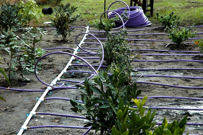 Drip irrigation systems: the history, the benefits and the problems