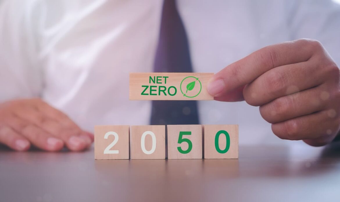 How Can We Make Net Zero More Affordable and Accessible?