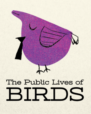 Discover The Public Lives of Birds