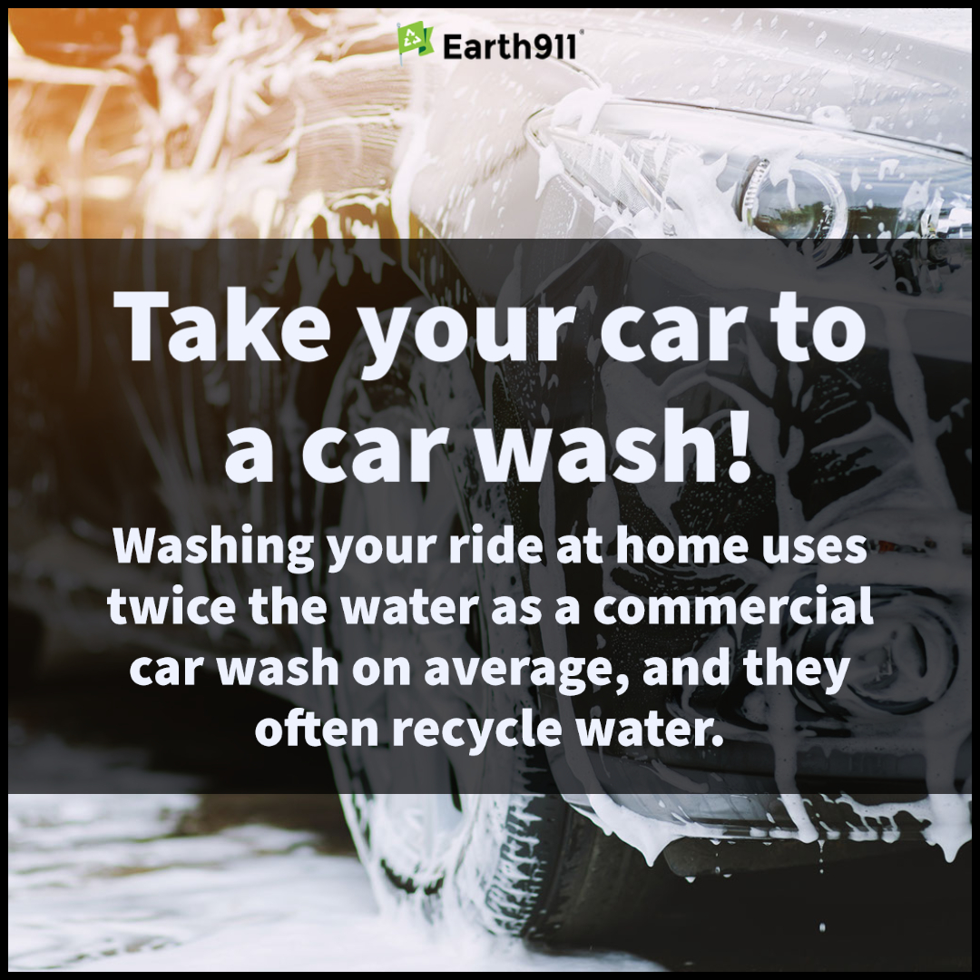 We Earthlings: Take Your Vehicle to the Car Wash