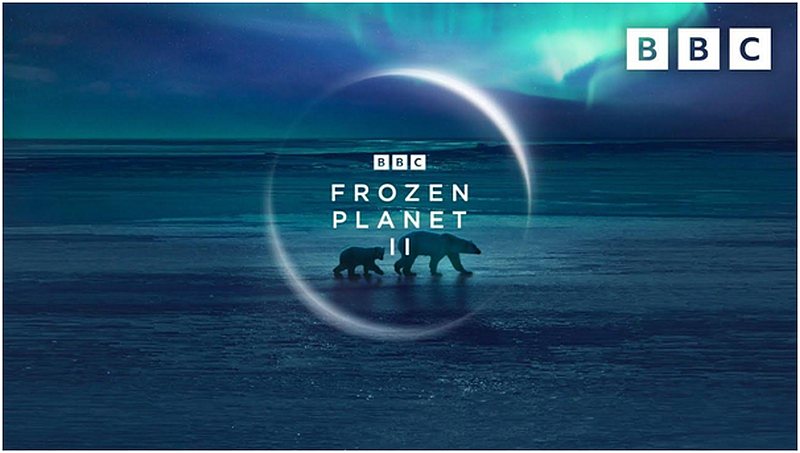 Eco-Conscious Viewing: The Best Ecology Programs on BBC iPlayer