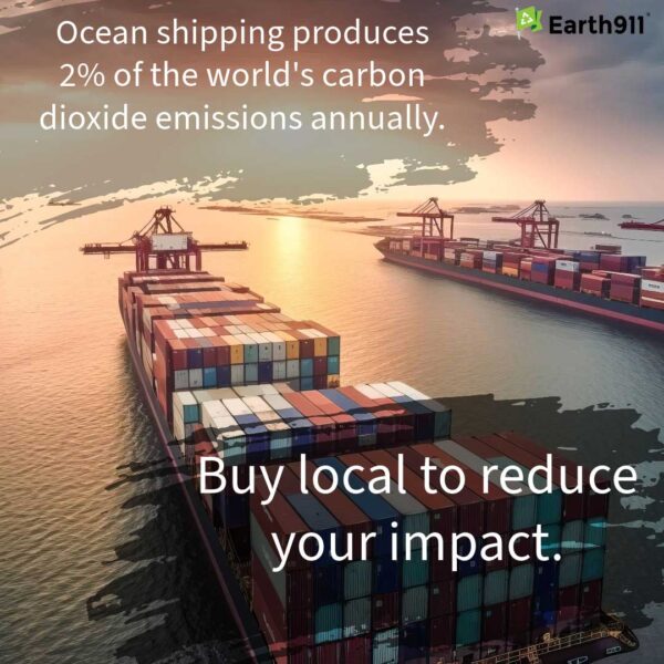 We Earthlings: The CO2 Cost of Shipping