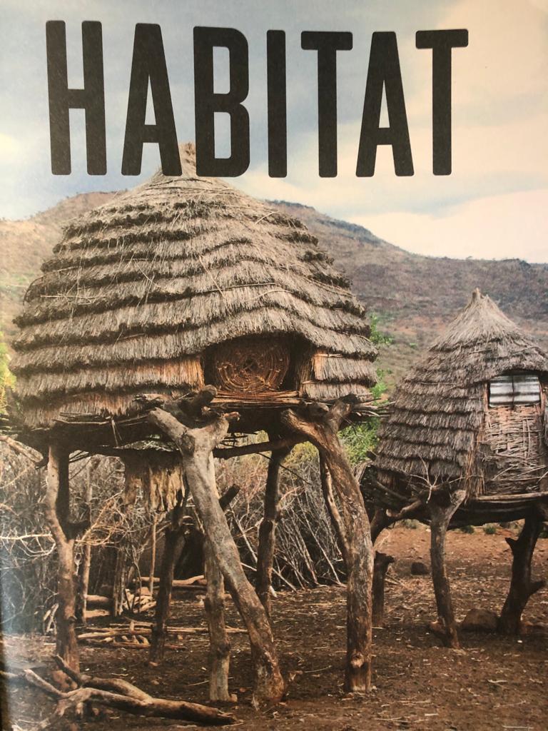 Habitat: the vernacular architecture bible