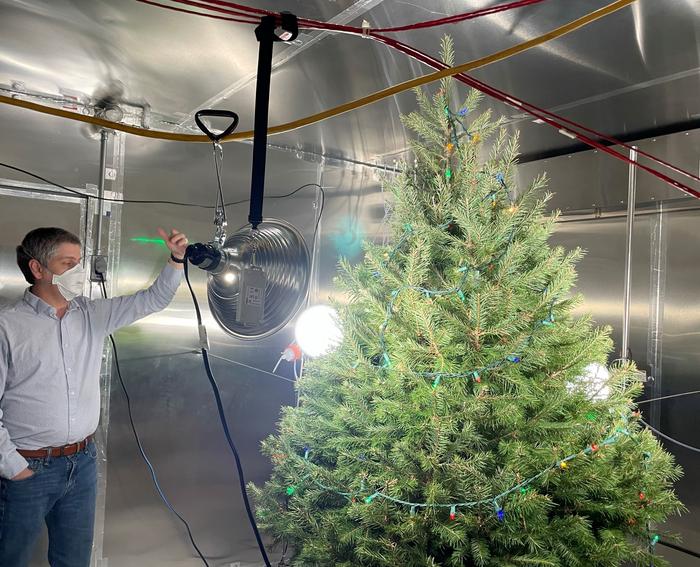 Jingle bells, what’s that smell? Can cut Christmas tree off-gassing be bad for you?