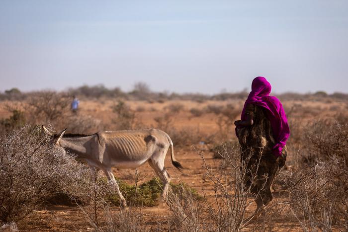 Solve the migrant crisis in Europe? Help Africa with drought
