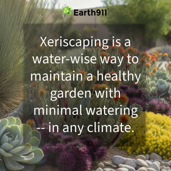 We Earthlings: Xeriscaping Saves Water
