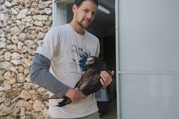 Captive vultures can rewild and join the flock