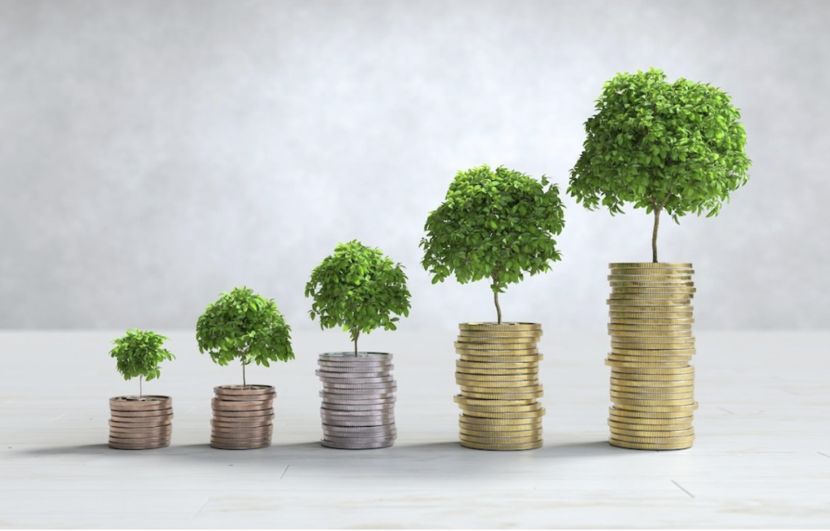 Sustainable Investing 101: Definition, Examples, and Strategies