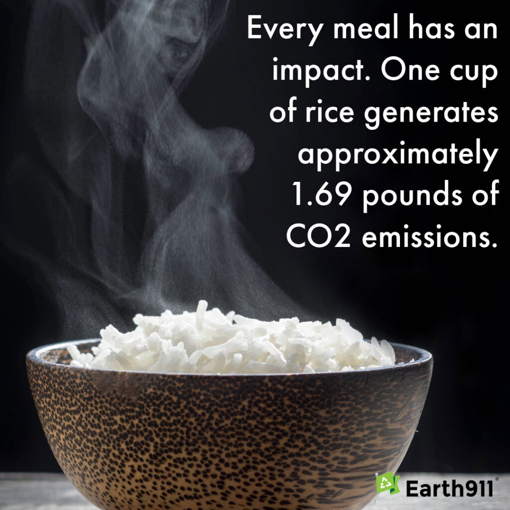We Earthlings: Every Grain Of Rice Has An Impact