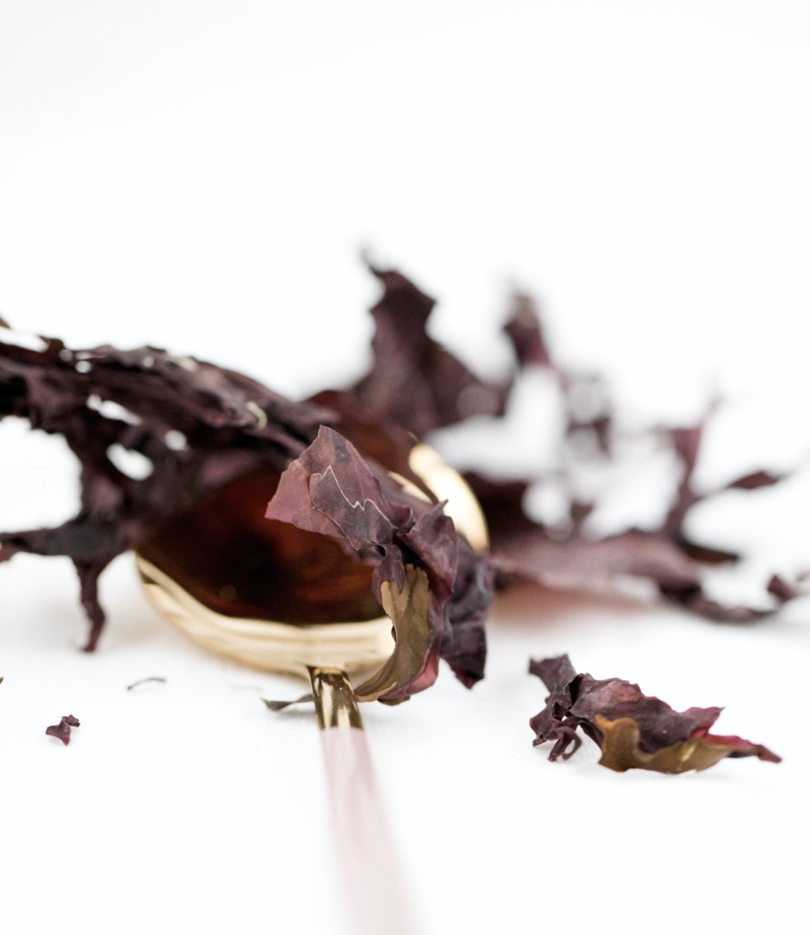 Why is dulse a superfood?