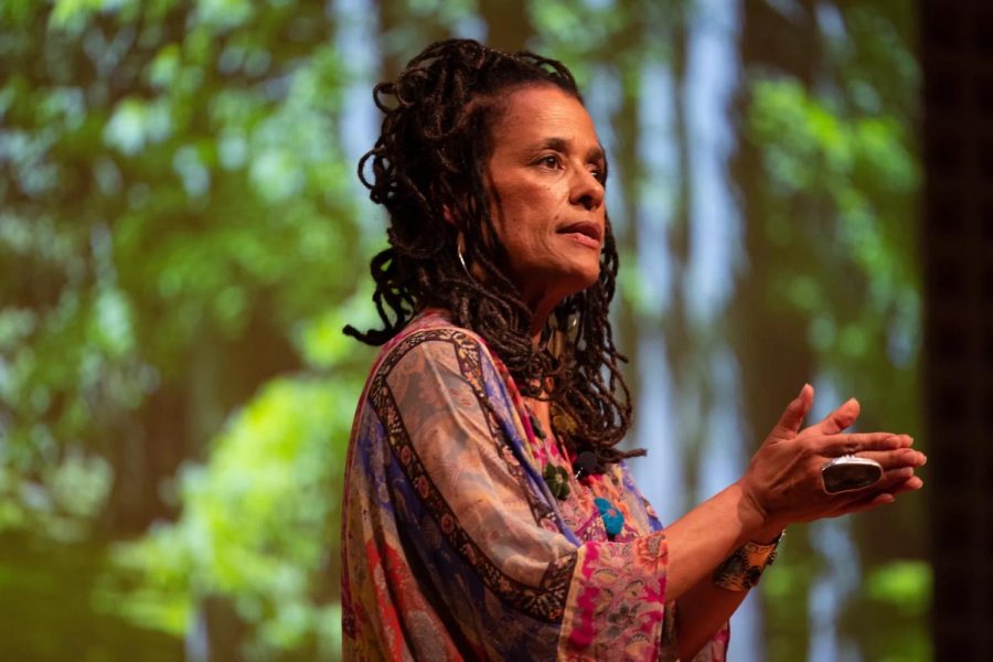 Celebrating Black Environmentalists Who Made Sustainability Strides