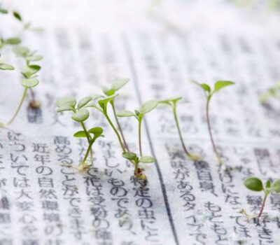 Japanese newspaper with seeds you can plant