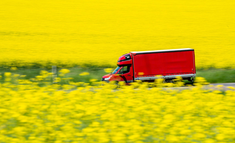 Blooming Sustainability: Redefining Flower Delivery for a Greener Future