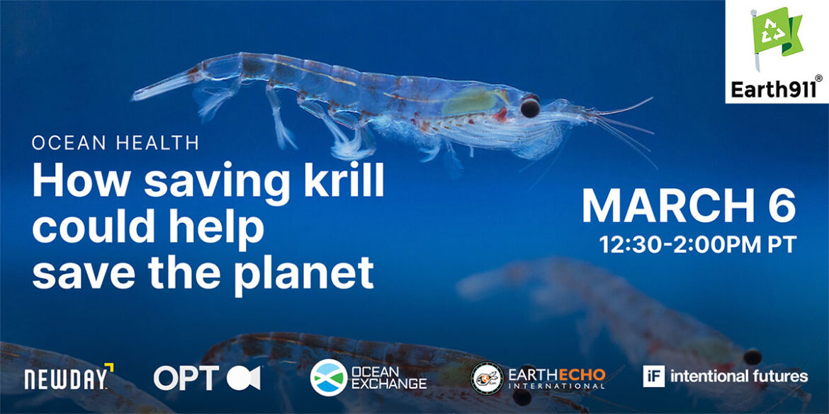 Earth911 Special Video Event: How Saving Krill Could Help Save The Planet