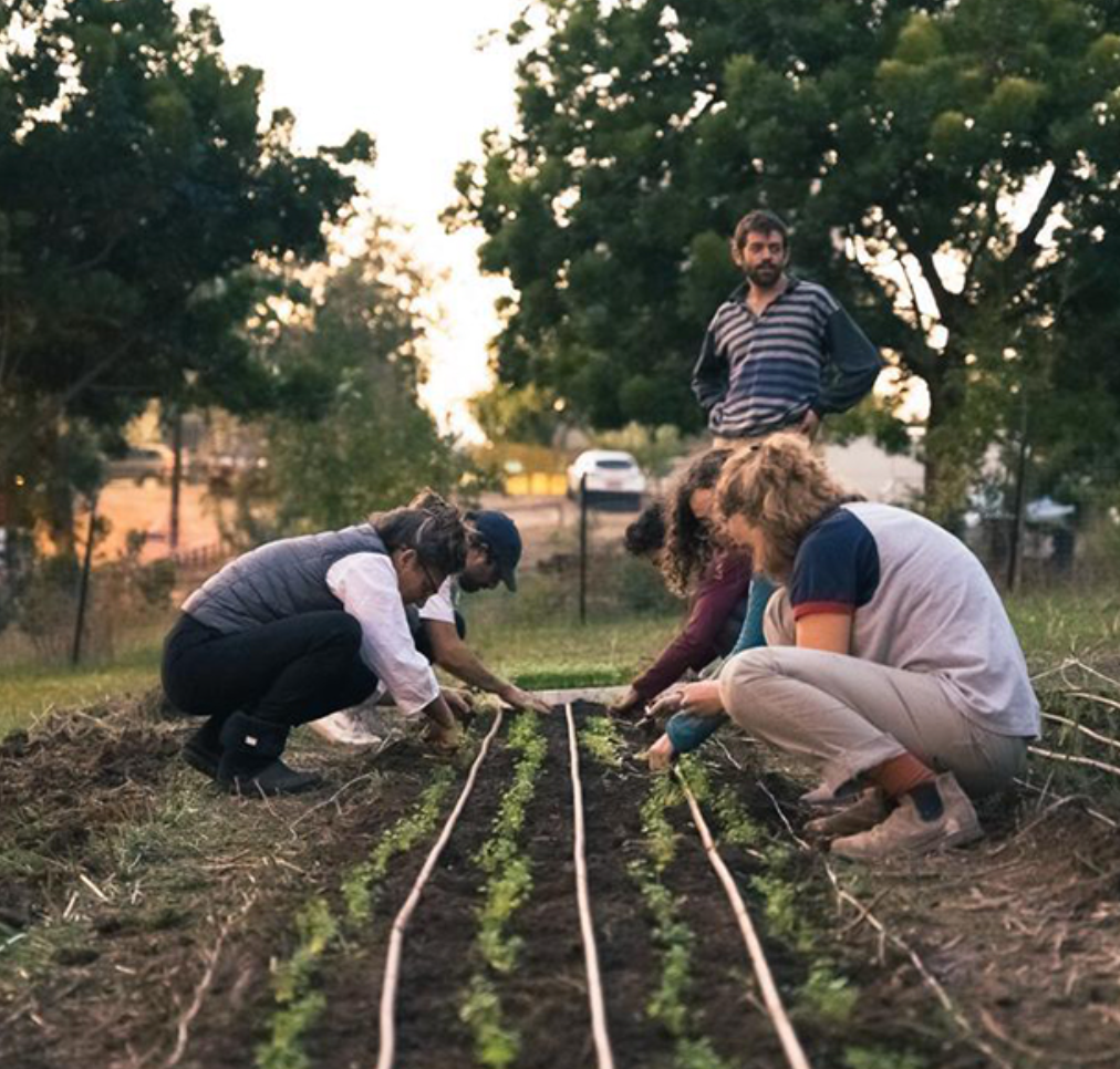 People get paid to compost at this urban garden