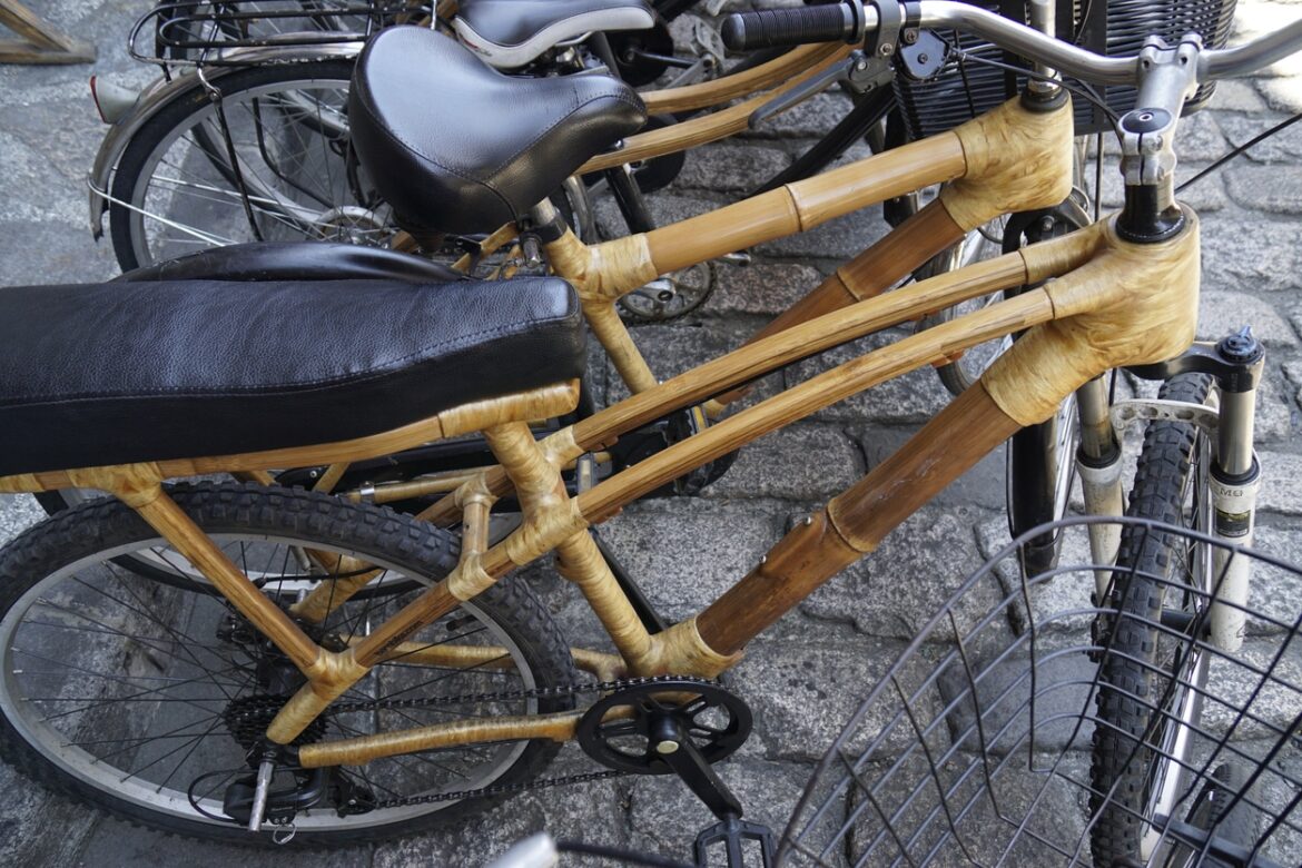 Why Bamboo Bikes Are Becoming More Popular in 2024