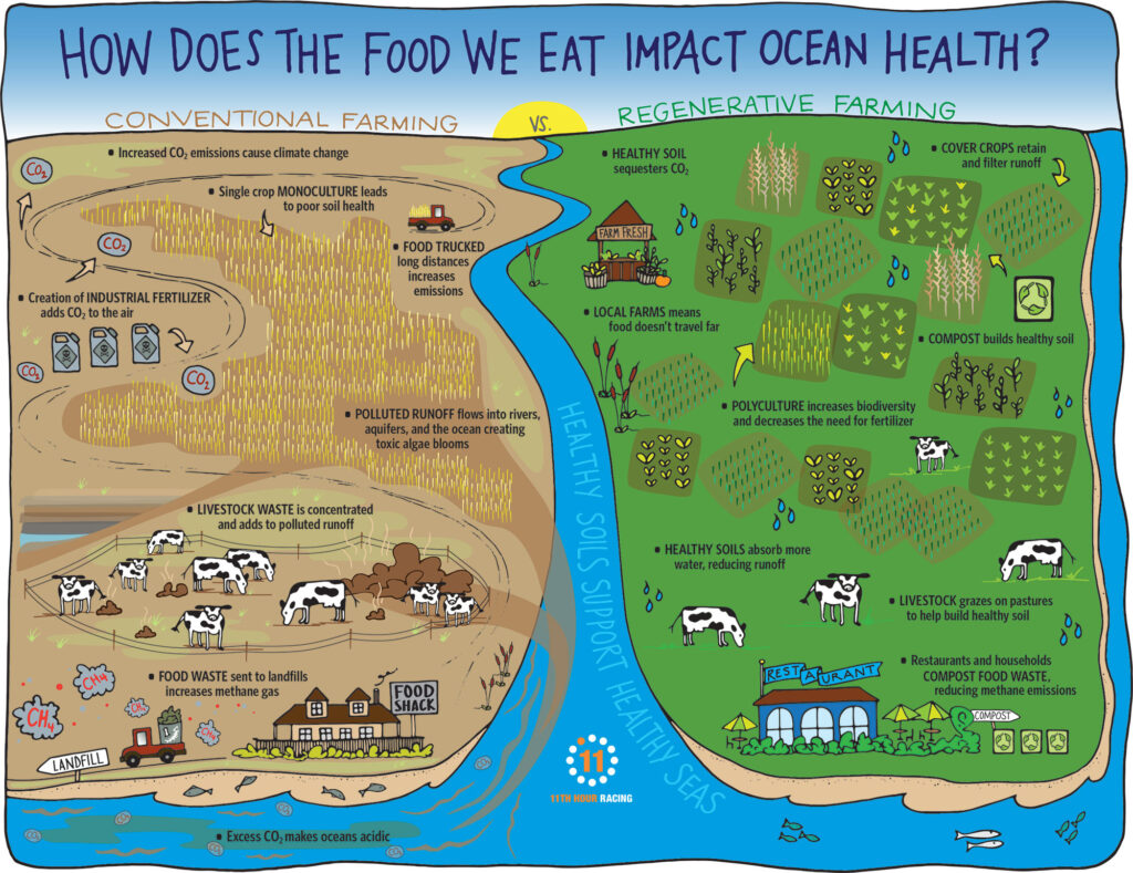 How You Can Help Create A Healthier Ocean By Composting