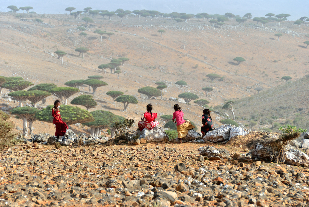 The History and Colonization of Socotra