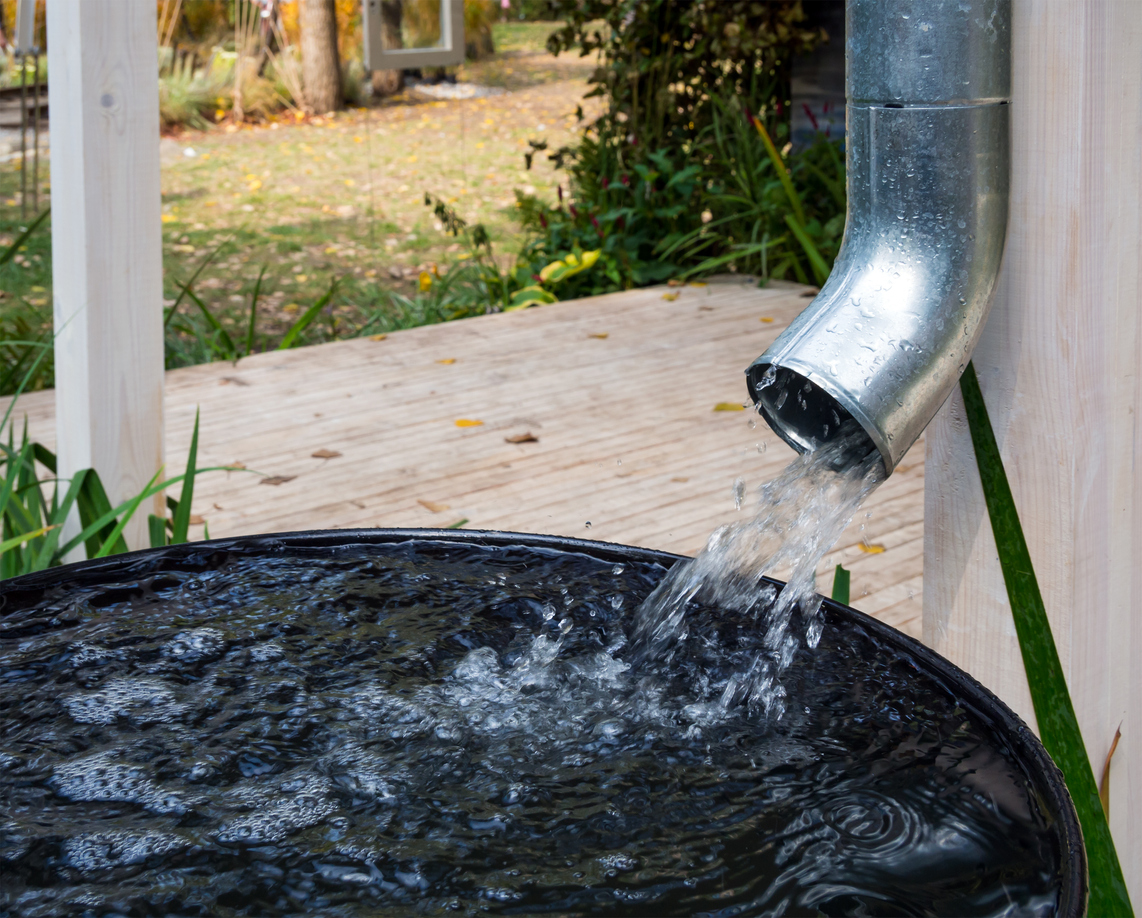 A Beginner’s Step-by-Step Guide to Rainwater Harvesting