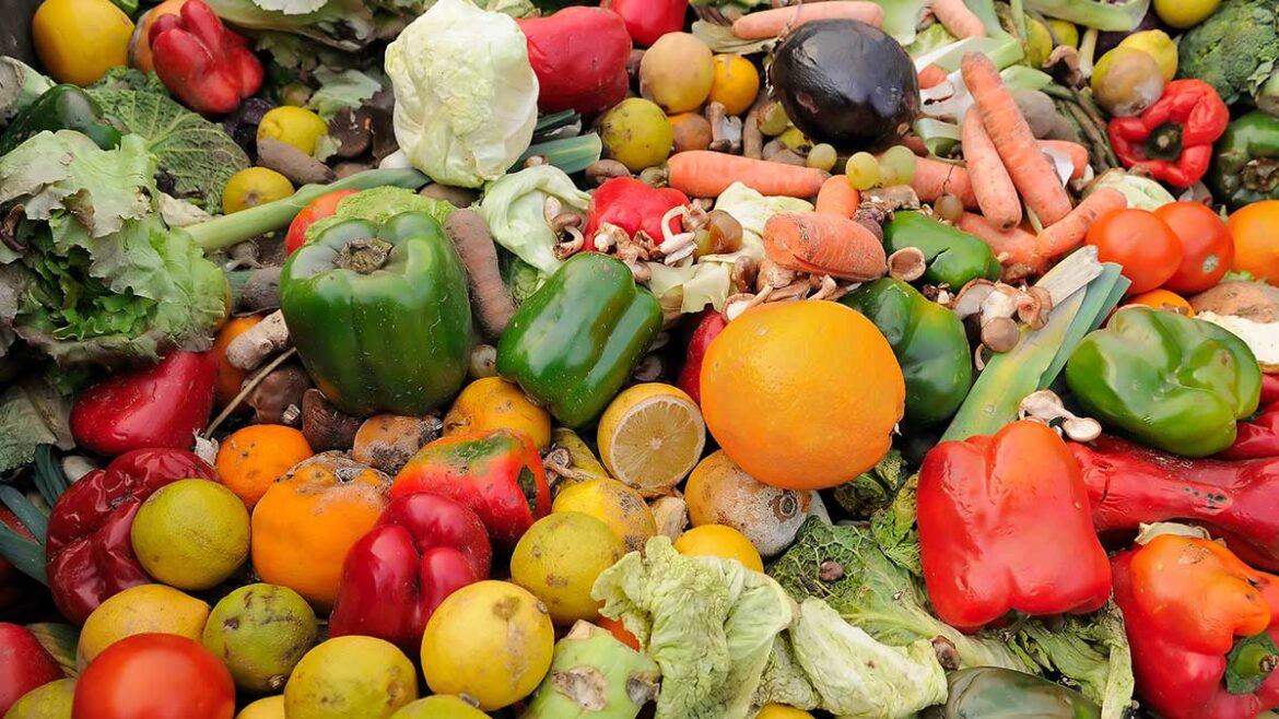 Exploring Technology-Based Solutions to Reduce Food Waste