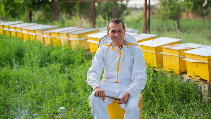 The bees of Azerbaijan go hightech