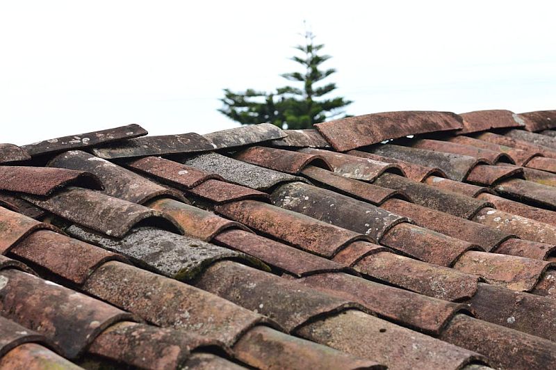 Why Repairing Your Roof Supports an Eco-Friendly Building