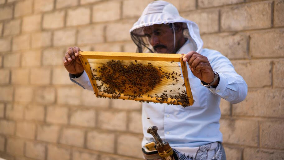 Yemen rebranding as the home of honey