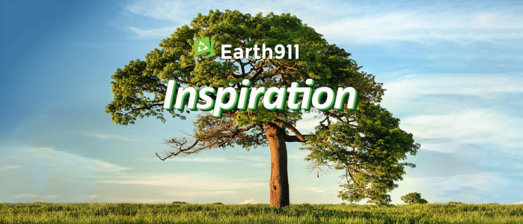 Earth911 Inspiration: Jane Goodall’s Got Good News