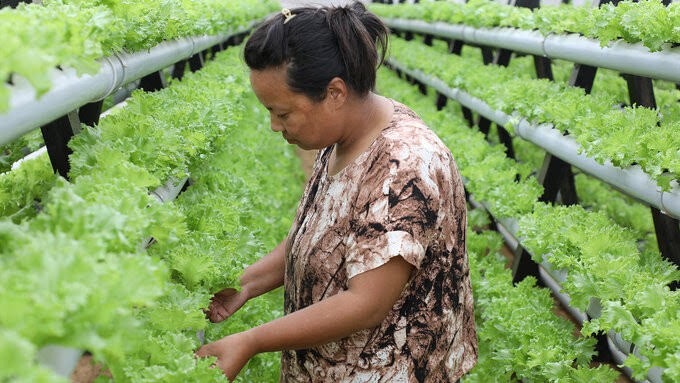 Hydroponics in Bhutan