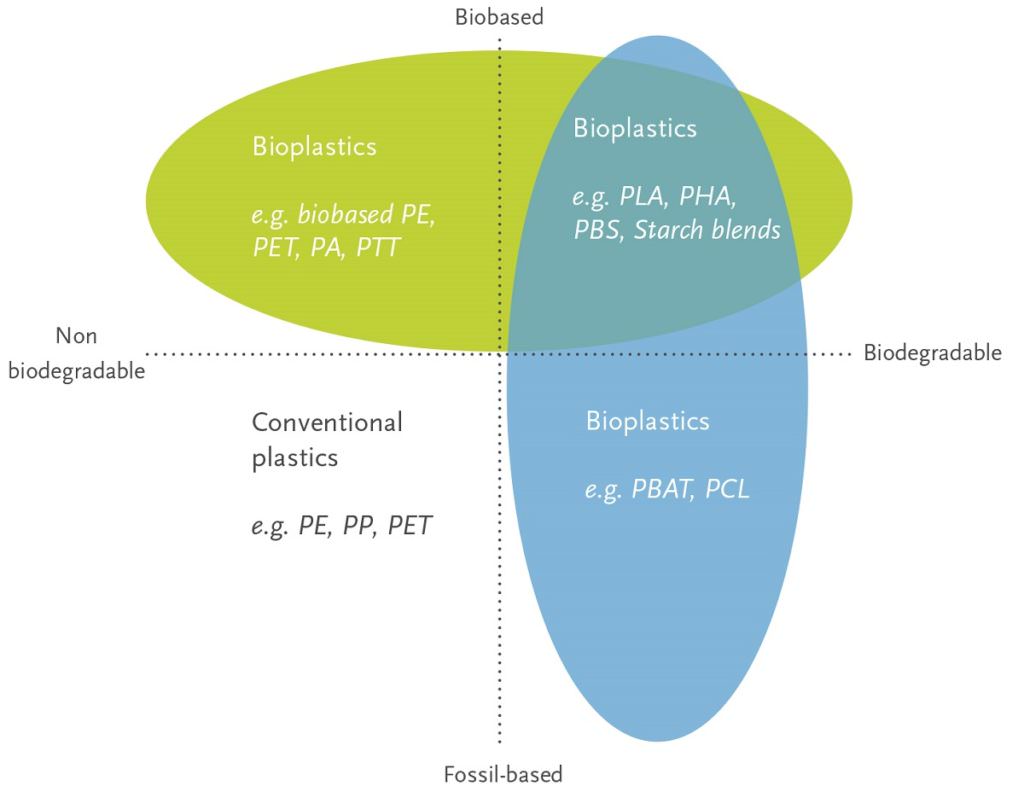 Bioplastics, Biodegradable Plastics, and Compostable Plastics: What’s the Difference?