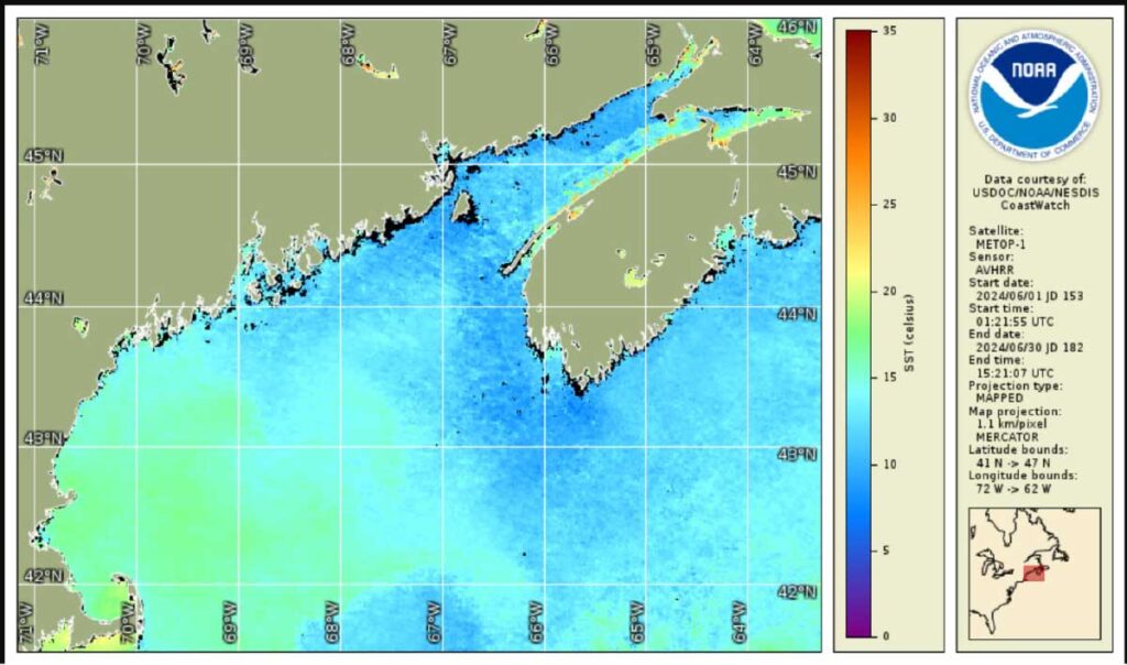 Guest Explainer: Cooling the Gulf of Maine Surface Ocean Waters