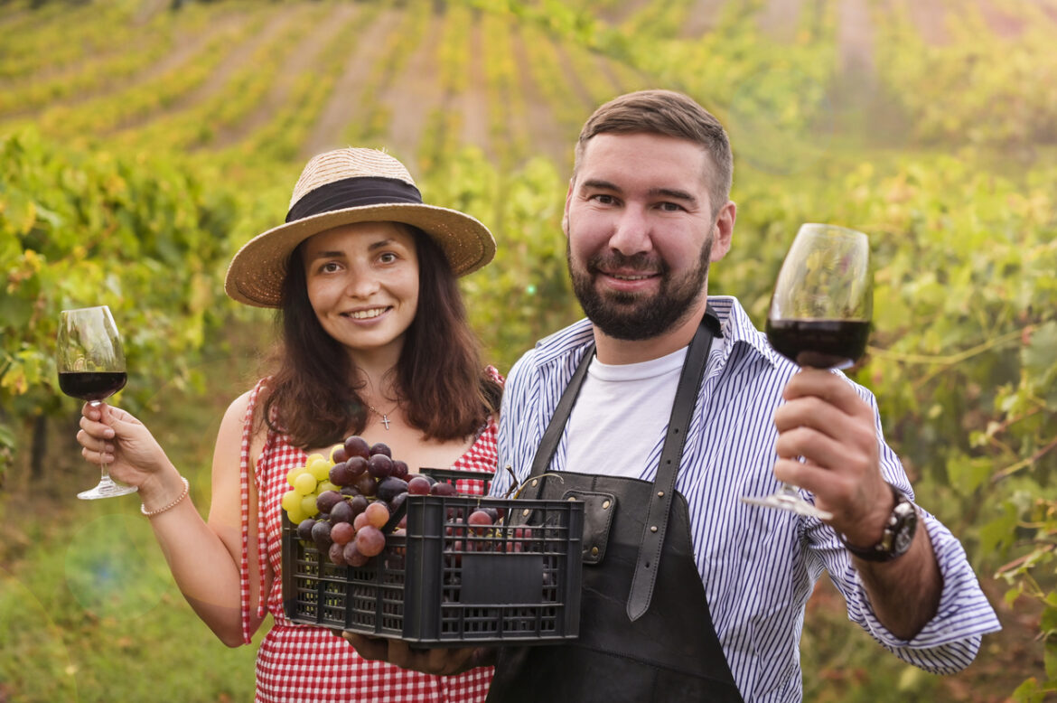 Vineyard Adventures: Eco-Conscious Wine Tours