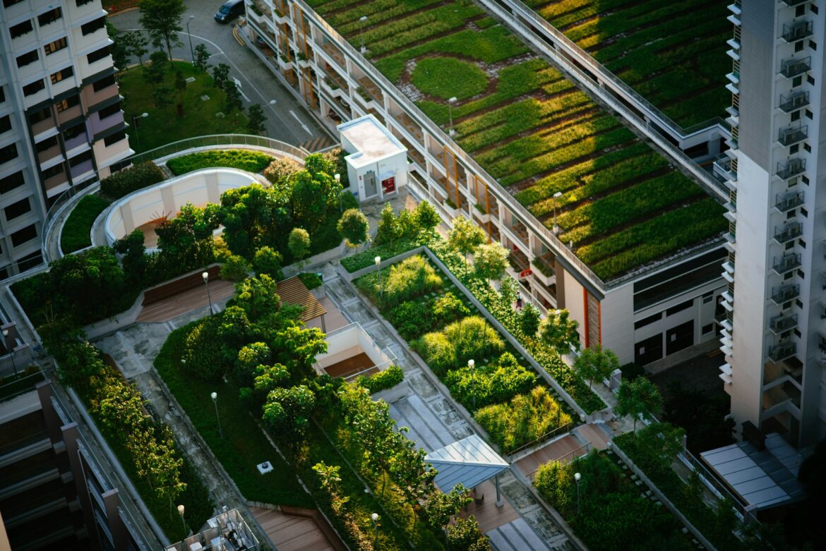 Green Roofs: A Solution for Urban Flood Resilience?