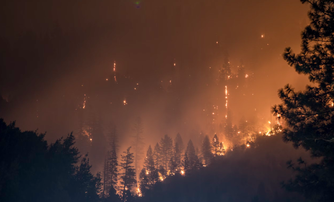 Will there be a wildfire in Canada? Our phone data can help make the prediction