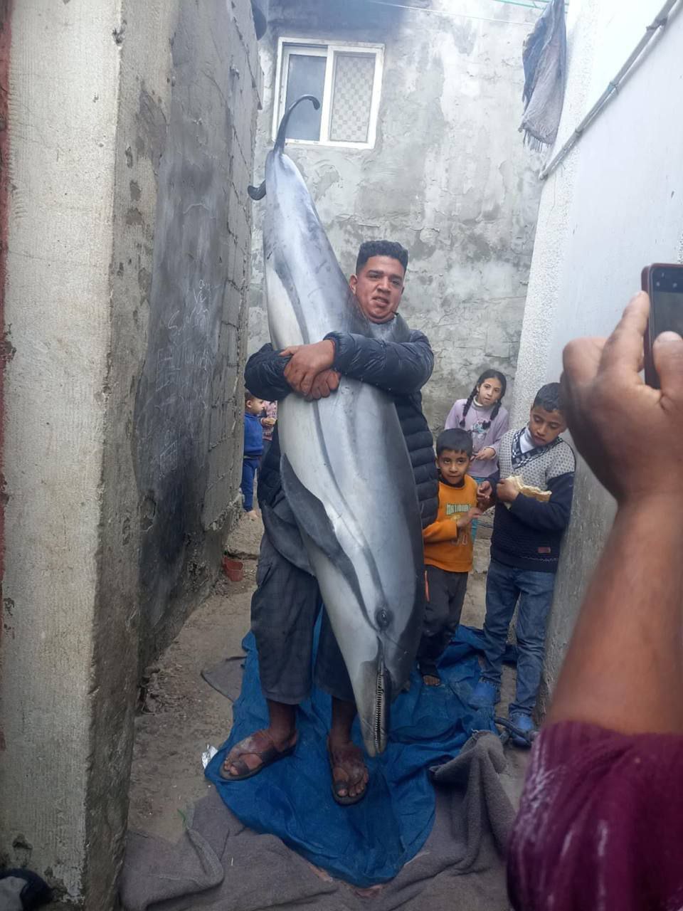 Gaza fishermen catches dolphin for family dinner