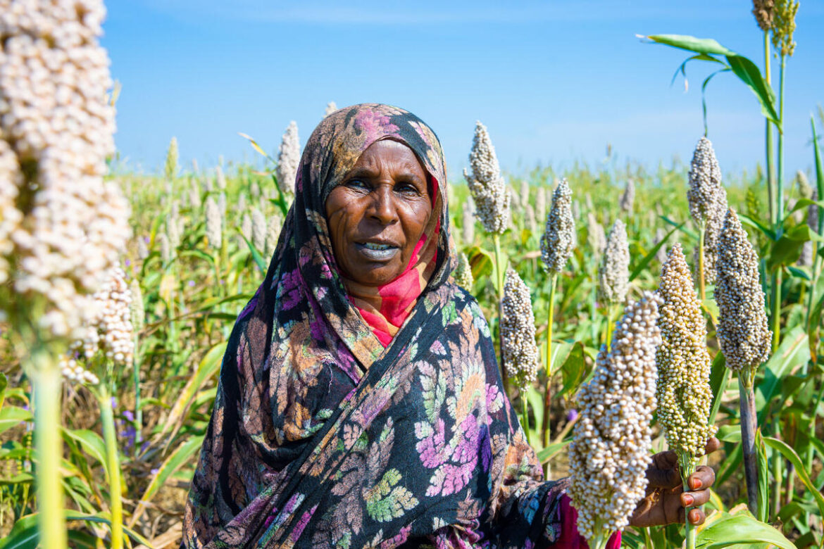 Sudan is starving and 25 million people face famine