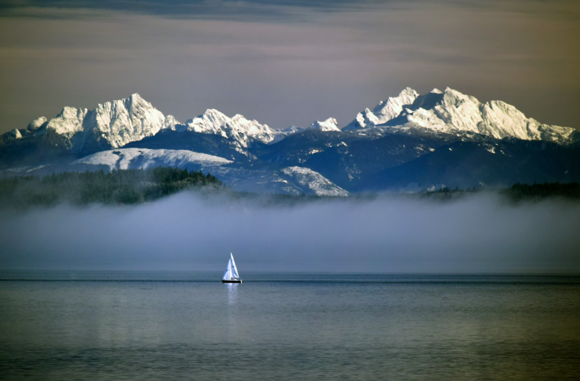 Washington bans marine aquaculture nets for farmed fish in world first